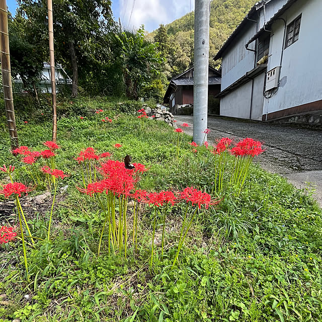 cotaさんの部屋