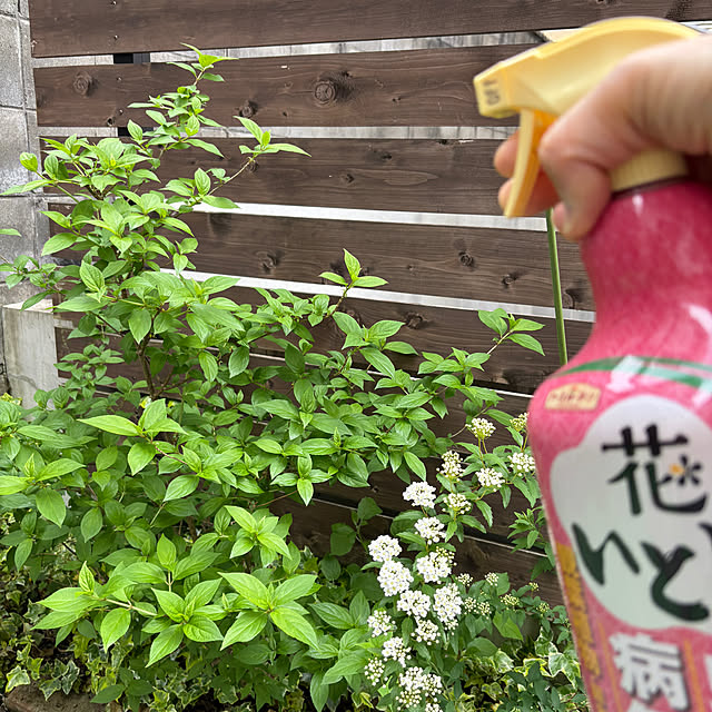 kakamiさんの実例写真