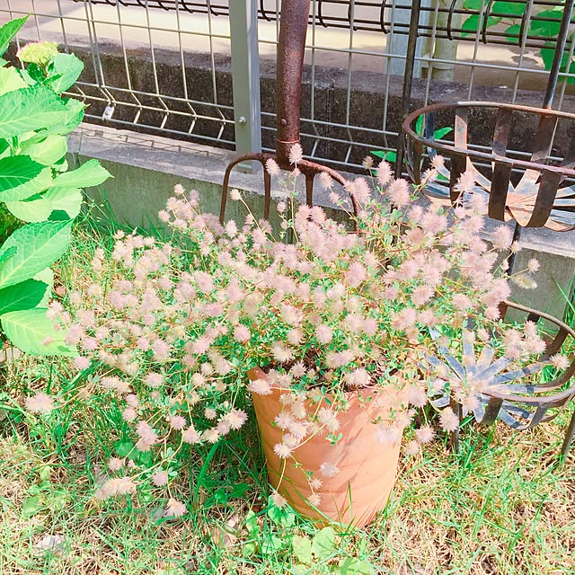 ichiさんの実例写真