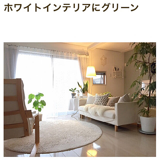 Rさんの実例写真