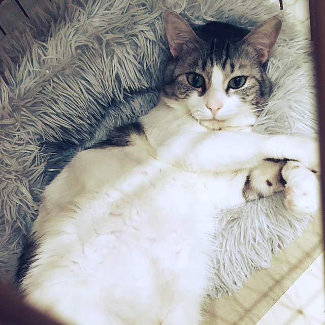 ayaさんの実例写真