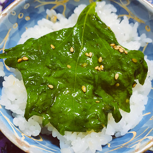 hanachanさんの部屋