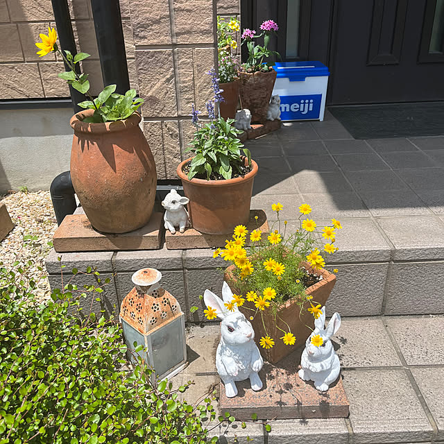 ritsukoさんの実例写真