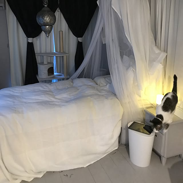 Shihoさんの実例写真
