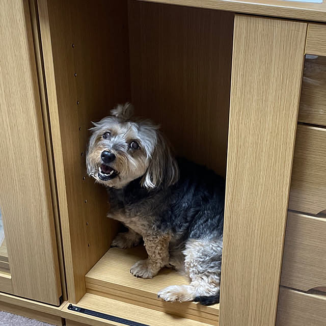 Annieさんの実例写真
