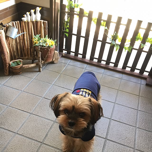 yukko3さんの実例写真