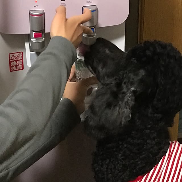 キッチンのインテリア実例 - 2017-04-10 22:32:11