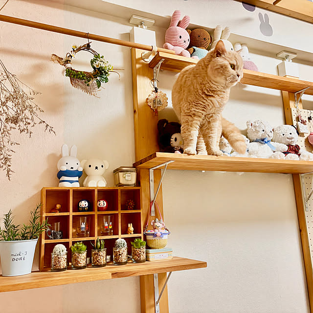 naokoさんの部屋