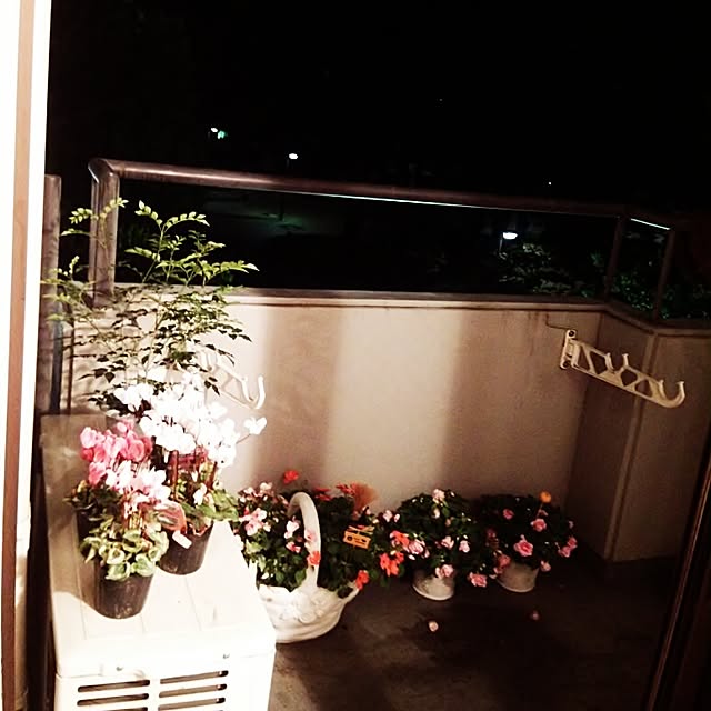 chiさんの実例写真