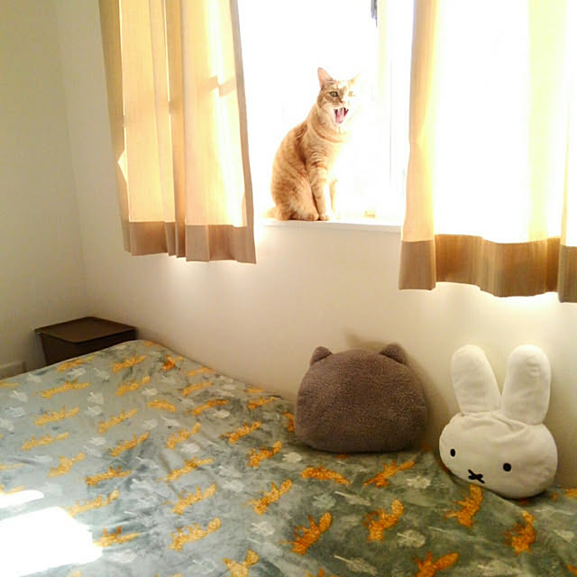 mayutan.さんの実例写真