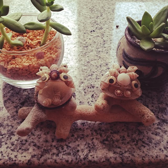 minoさんの実例写真
