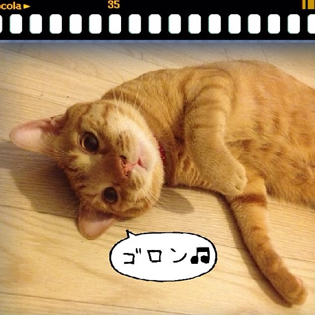 n-sanさんの実例写真