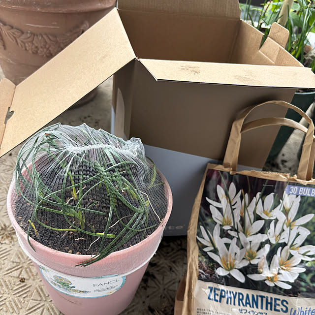 syutmmさんの部屋