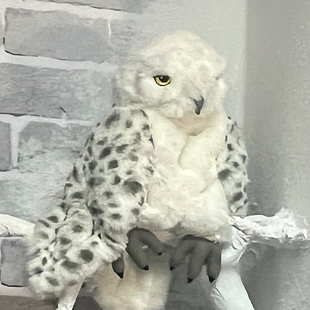385さんの実例写真