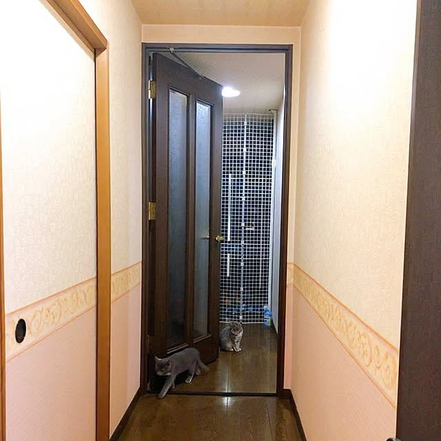 玄関/入り口のインテリア実例 - 2021-11-09 09:47:22