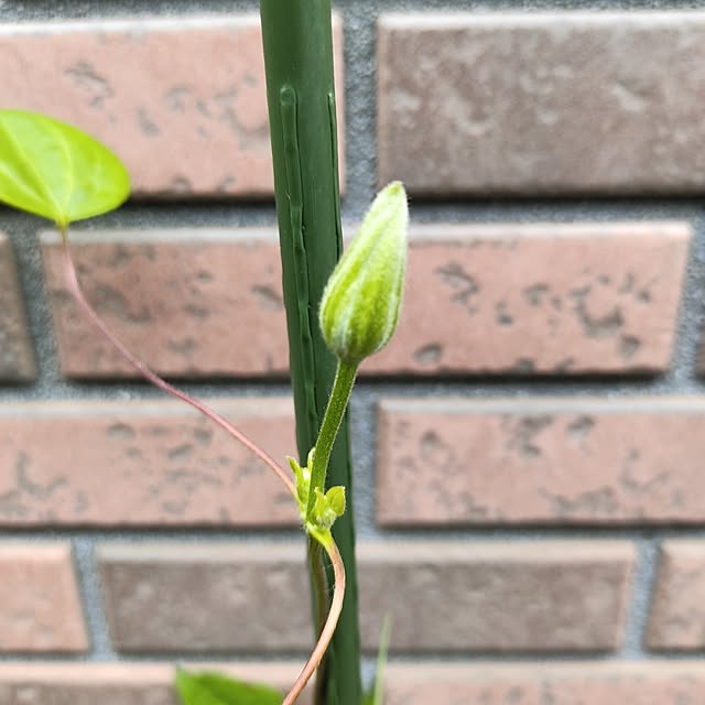 kiraさんの部屋