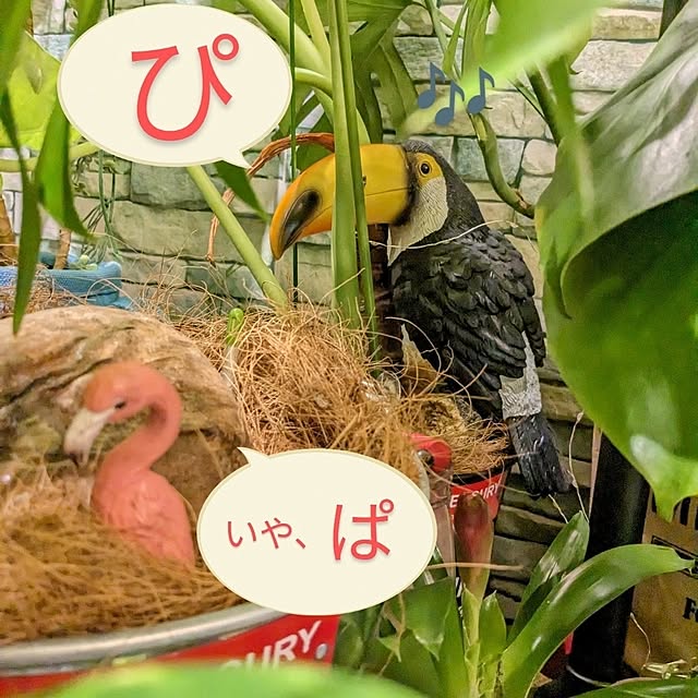 GINさんの実例写真