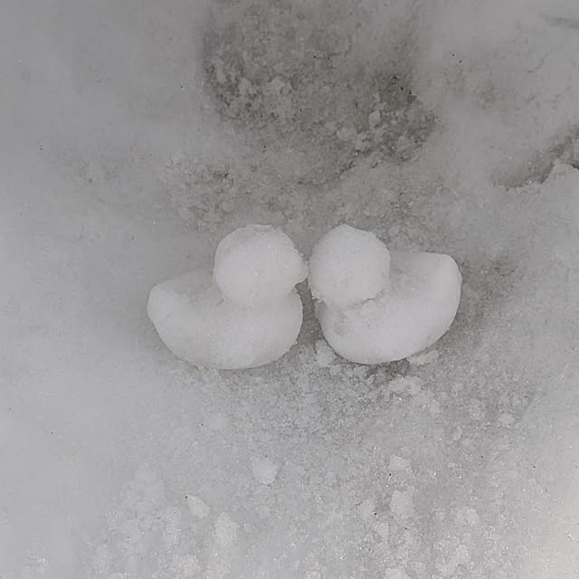 monnさんの実例写真
