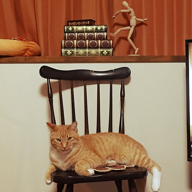 motimotinonikuさんの実例写真