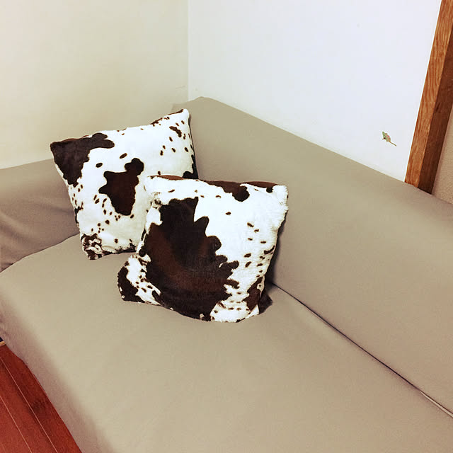 coroさんの実例写真