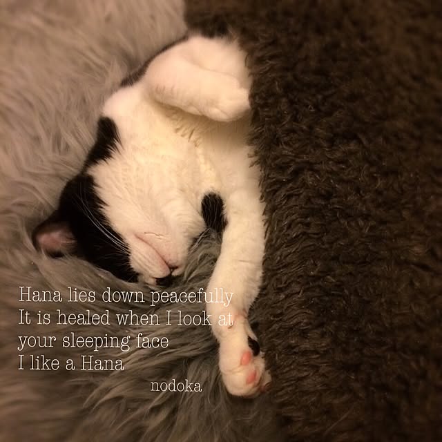nodokaさんの実例写真