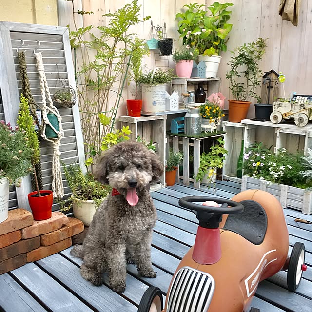 makoriさんの実例写真