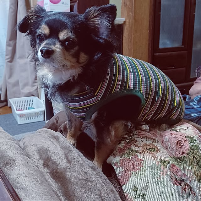 hiro.904さんの部屋