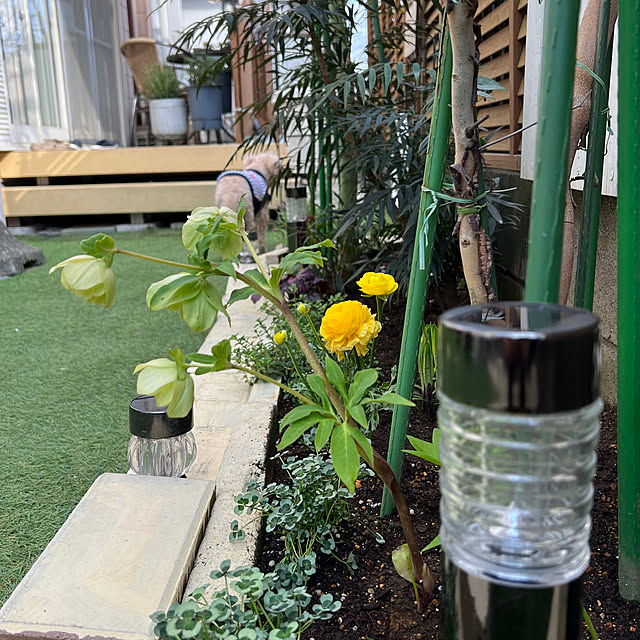 yukarimamaさんの部屋