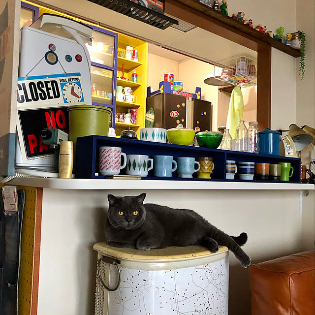 Shojiさんの実例写真