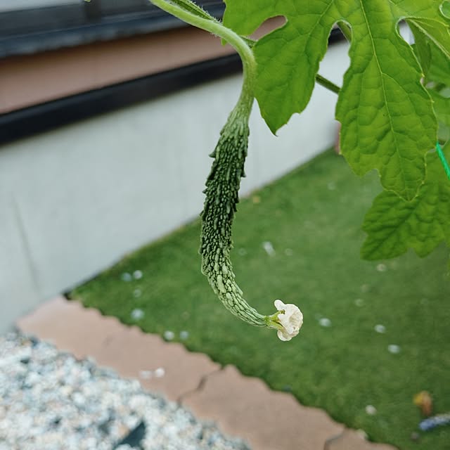 misakiさんの部屋