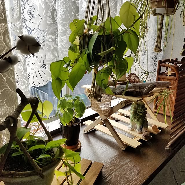 midoriさんの実例写真