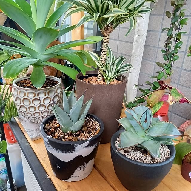 Rさんの部屋