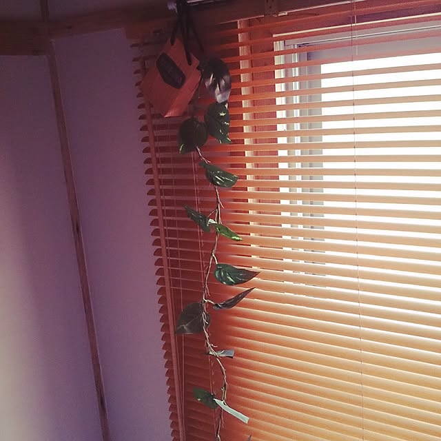 doさんの実例写真