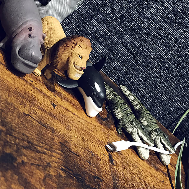 riakanaさんの実例写真