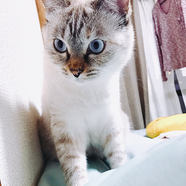nachuさんの実例写真