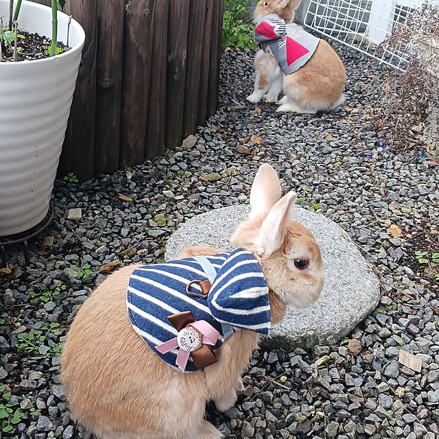 aiさんの部屋