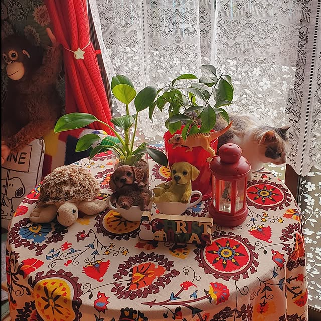 kumutanさんの実例写真