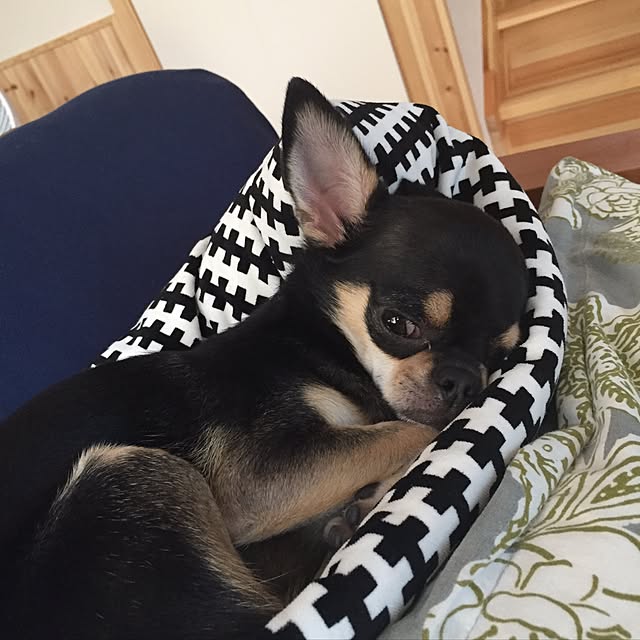 tomoさんの実例写真