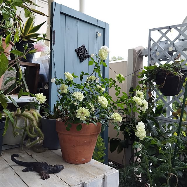 yuuu7712さんの部屋