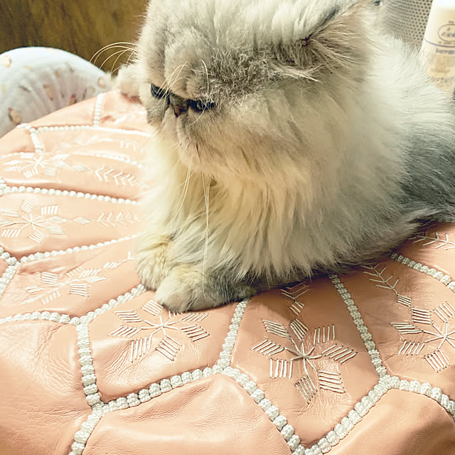 ryushinさんの実例写真