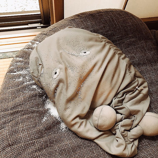 cocoさんの実例写真