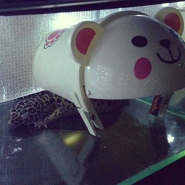 xxxpunk696さんの実例写真