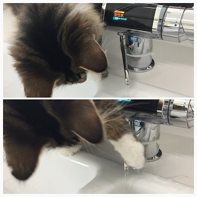 yuchiさんの実例写真