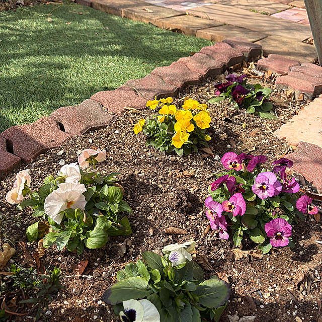 ronronさんの部屋