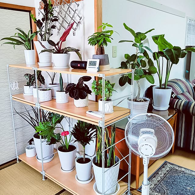 hanachanさんの実例写真