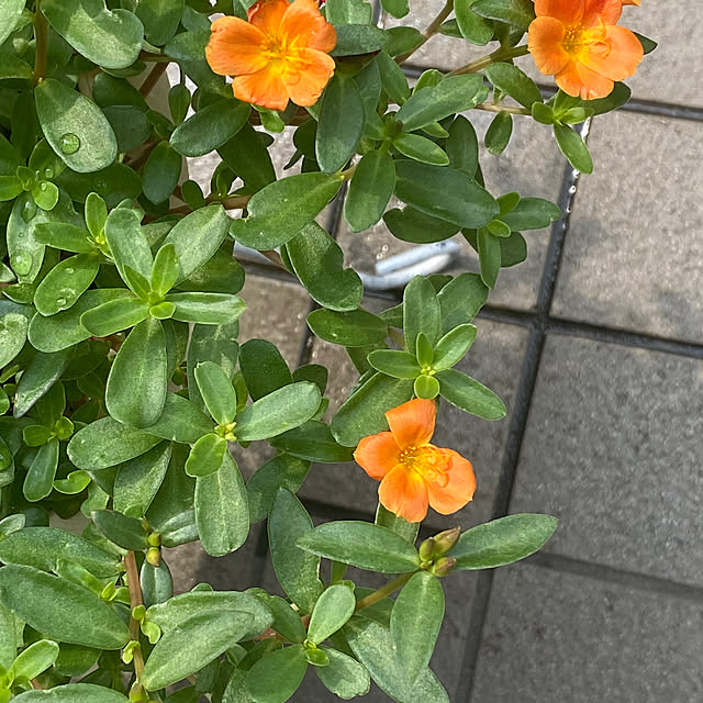YuuKoさんの部屋