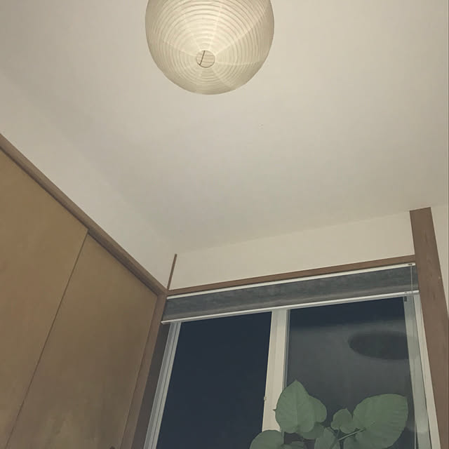 部屋全体/観葉植物/照明/ナチュラルのインテリア実例 - 2018-06-28 21:29:46