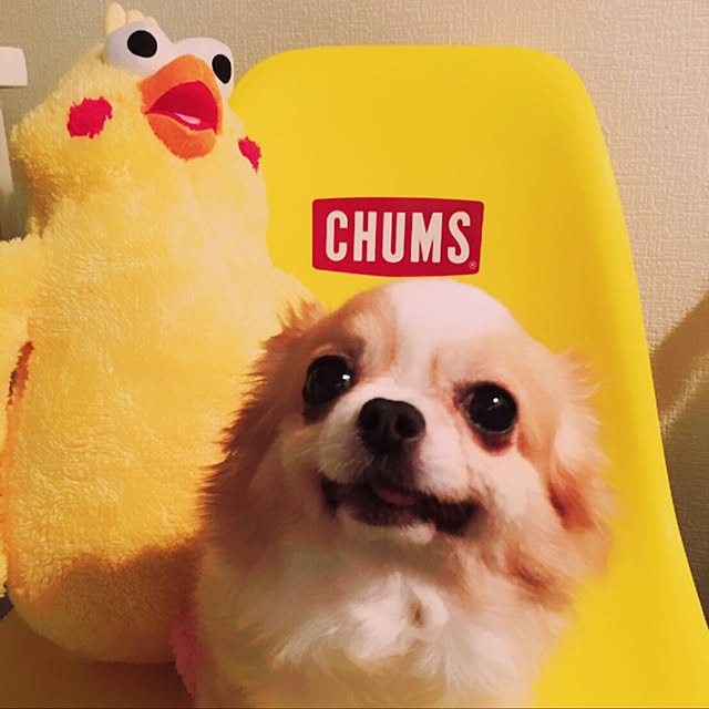 storage1101さんの実例写真