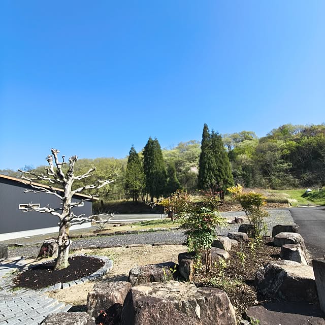 Rubiconさんの部屋