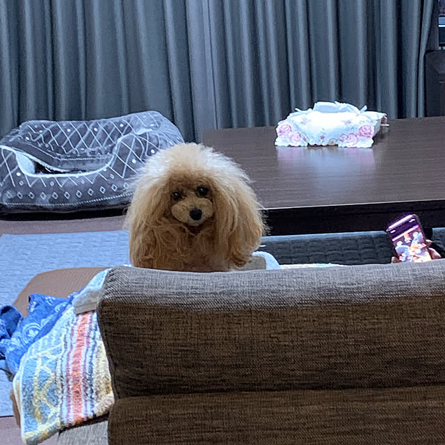 ROSEさんの実例写真